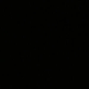 Meet your Posher, Indasha